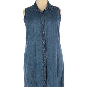 👗 L.L. Bean denim Dress with functional buttons